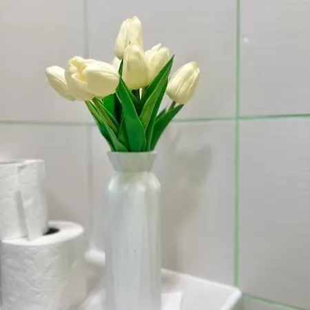 Cozy In * Várna